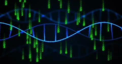 Image of data processing over dna strands 스톡 사진