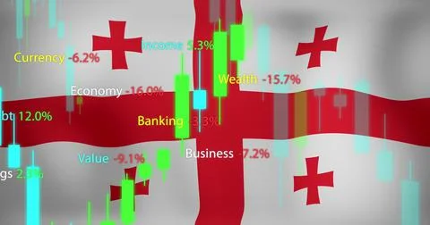 Image of data processing over flag of georgia Stockillustratie