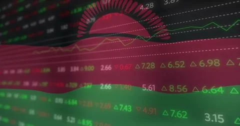 Image of data processing over flag of malawi 写真素材