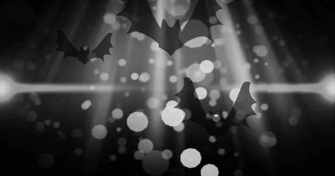 Image of data processing over flying bats Stock Photos