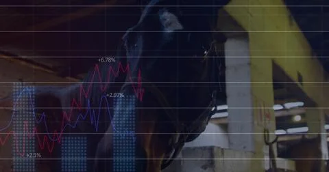 Image of data processing over horses in stable Foto stock
