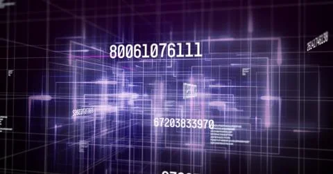 Image of data processing over light trails on black background Illustrazione stock