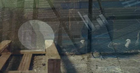 Image of data processing over people silhouettes and chicken Foto stock