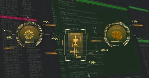 Image of data processing over skeleton and brain Stock Illustration