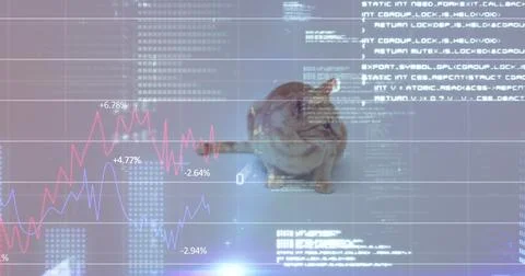Image of data processing over white background and cat Foto stock