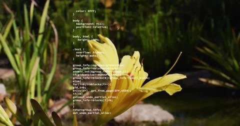 Image of data processing over yellow flower and bee Stock Photos