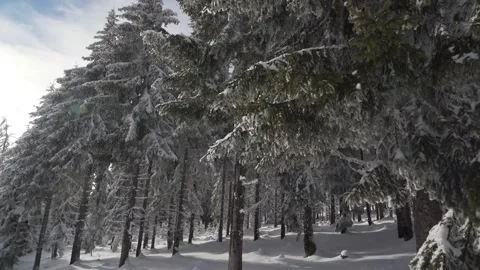 This image depicts a vast, snow-covered landscape under a cloudy sky Stock Footage 319987265