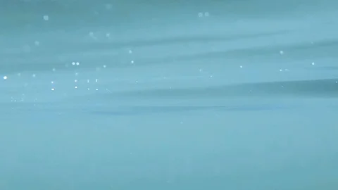 The image descends from the water surface under water Stock Footage 118009776