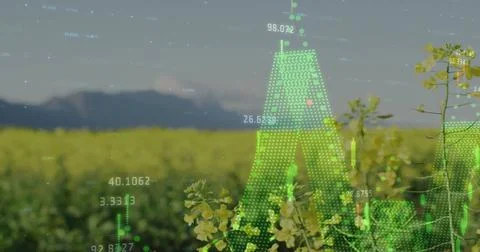 Image of diagrams and data processing over field Fotos Stock