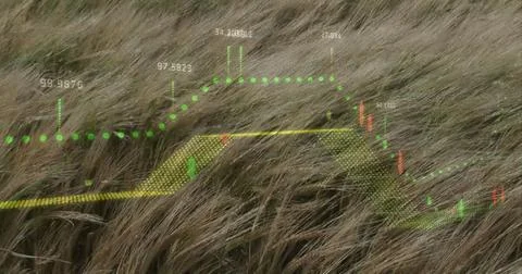 Image of diagrams and data processing over grass waving Fotos Stock
