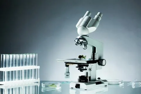 Image of different glassware and microscope on workplace in laboratory Stock Photos