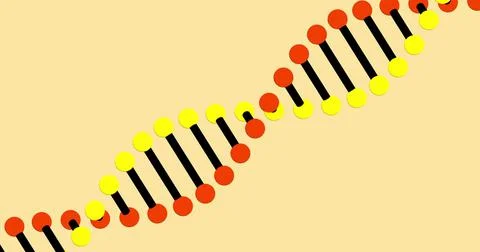 Image of a digital 3d red, yellow and black double helix DNA Illustrazione stock