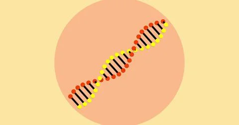 Image of a digital 3d red, yellow and black double helix DNA Illustrazione stock