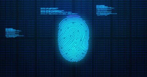 Image of digital biometric fingerprint computer interface icon and data Stock Illustration