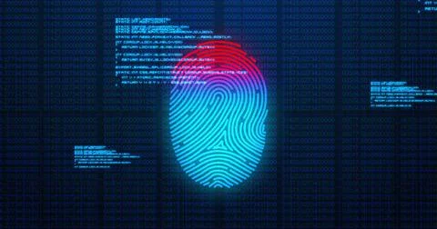 Image of digital biometric fingerprint computer interface icon and data Stock Illustration