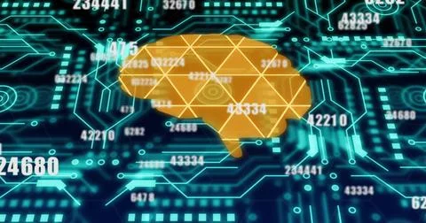 Image of digital brain with data processing over connections Stock Photos