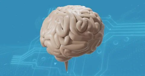 Image of digital brain Stock Illustration