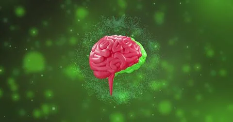 Image of digital brain spinning over light spots Foto stock