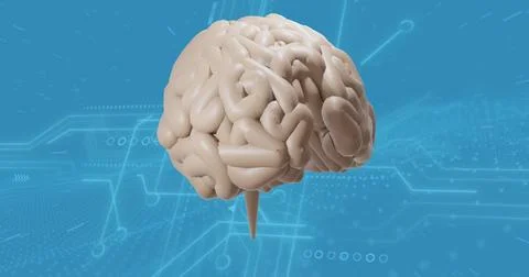Image of digital brain spinning over connections Foto stock