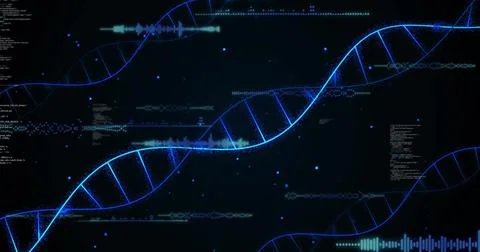 Image of digital data processing and dna strands on black background Illustrazione stock