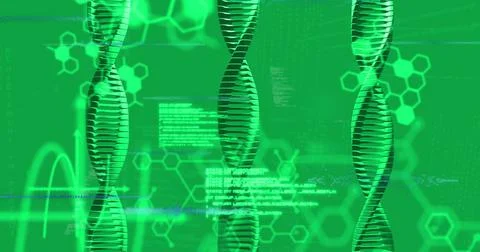 Image of digital data processing and dna strand on green background 스톡 일러스트