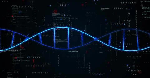 Image of digital data processing and dna strand on black background イラスト素材