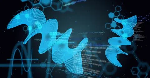 Image of digital data processing and dna strands on black background Stockillustratie