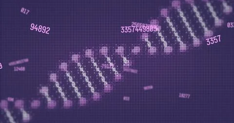 Image of digital data processing and dna strand on dark background イラスト素材