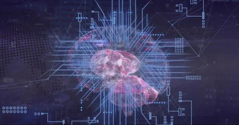 Image of digital data processing, brain and circuit board over computer servers Foto stock
