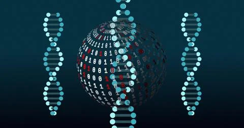 Image of digital data processing over dna strands spinning and globe with binary Stock Illustration