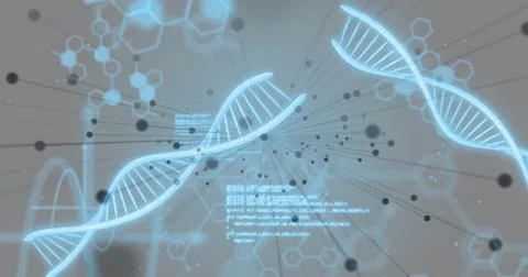 Image of digital data processing over dna strands spinning Ilustración de archivo