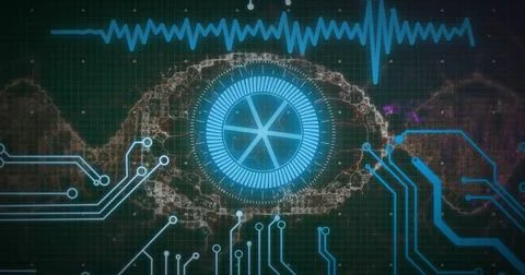 Image of digital data processing over dna strand and computer circuit board Stock Illustration