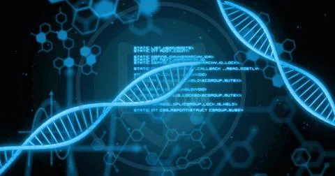 Image of digital data processing over dna strands spinning on black background 스톡 일러스트