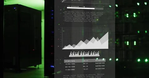 Image of digital data processing over computer servers Foto stock