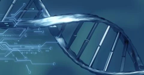 Image of digital data processing over dna strand 스톡 사진