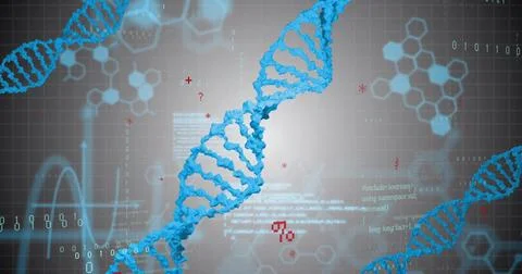 Image of digital data processing over dna strands spinning 스톡 사진