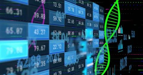 Image of digital data processing over dna strand spinning Stock Photos
