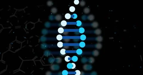 Image of digital data processing over dna strand spinning on black background Foto stock