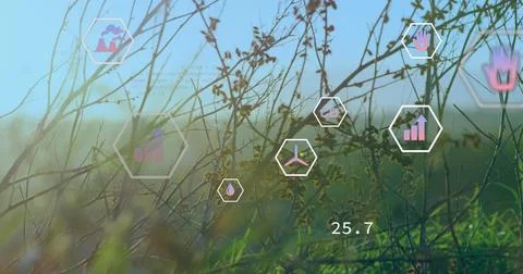 Image of digital icons and data processing over power lines on field Stock Photos