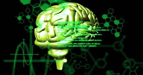 Image of digital spinning brain over data processing Stock Photos