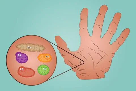 Image of dirty hand and the germs in the magnifying Stock-Illustration