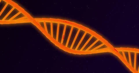 Image of dna and data processing over black background 스톡 일러스트