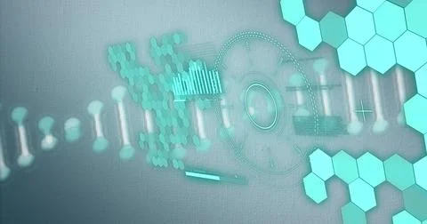 Image of dna helix, loading circles, bar, graph and hexagon pattern over Stock Photos
