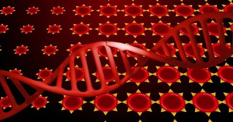 Image of dna over red cells on red background 写真素材