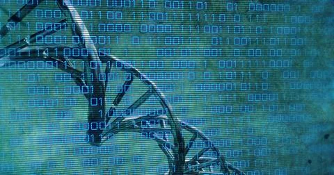 Image of dna rotating over binary code on green background 스톡 일러스트