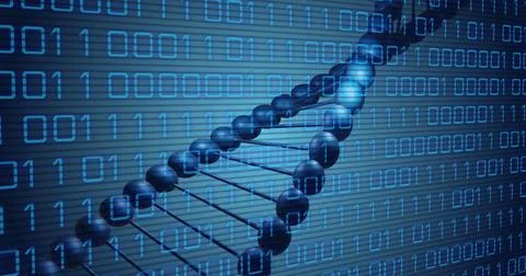 Image of dna rotating over binary code on blue background 스톡 일러스트