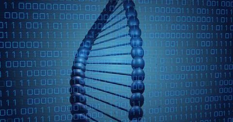Image of dna rotating over binary code on blue background Illustrazione stock