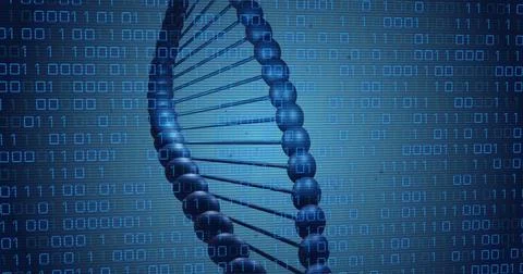 Image of dna rotating over binary code on blue background イラスト素材