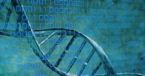 Image of dna rotating over binary code on green background Foto stock