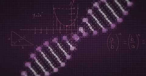 Image of dna rotating over black background with math formulas Stock Illustration